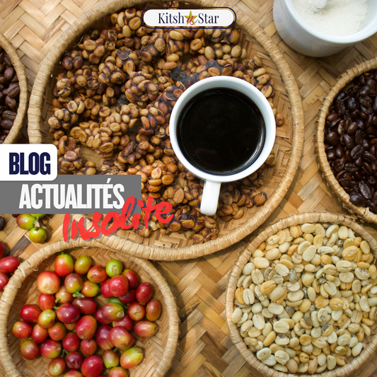 Insolite : Le Kopi Luwak