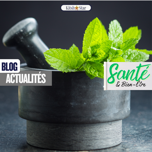 Santé et Nutrition : La Menthe