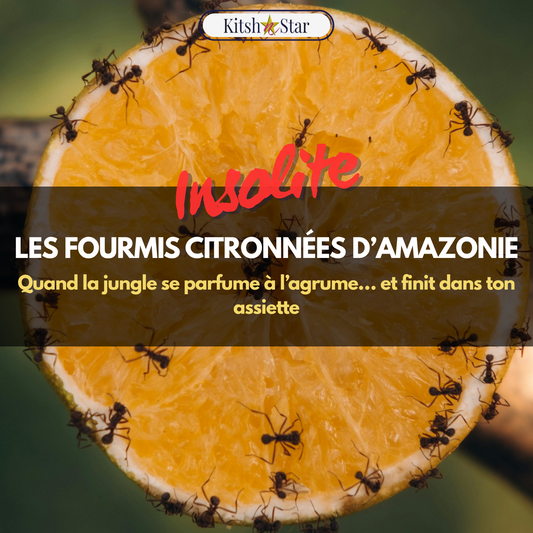 Insolite : Les fourmis citronnées d’Amazonie